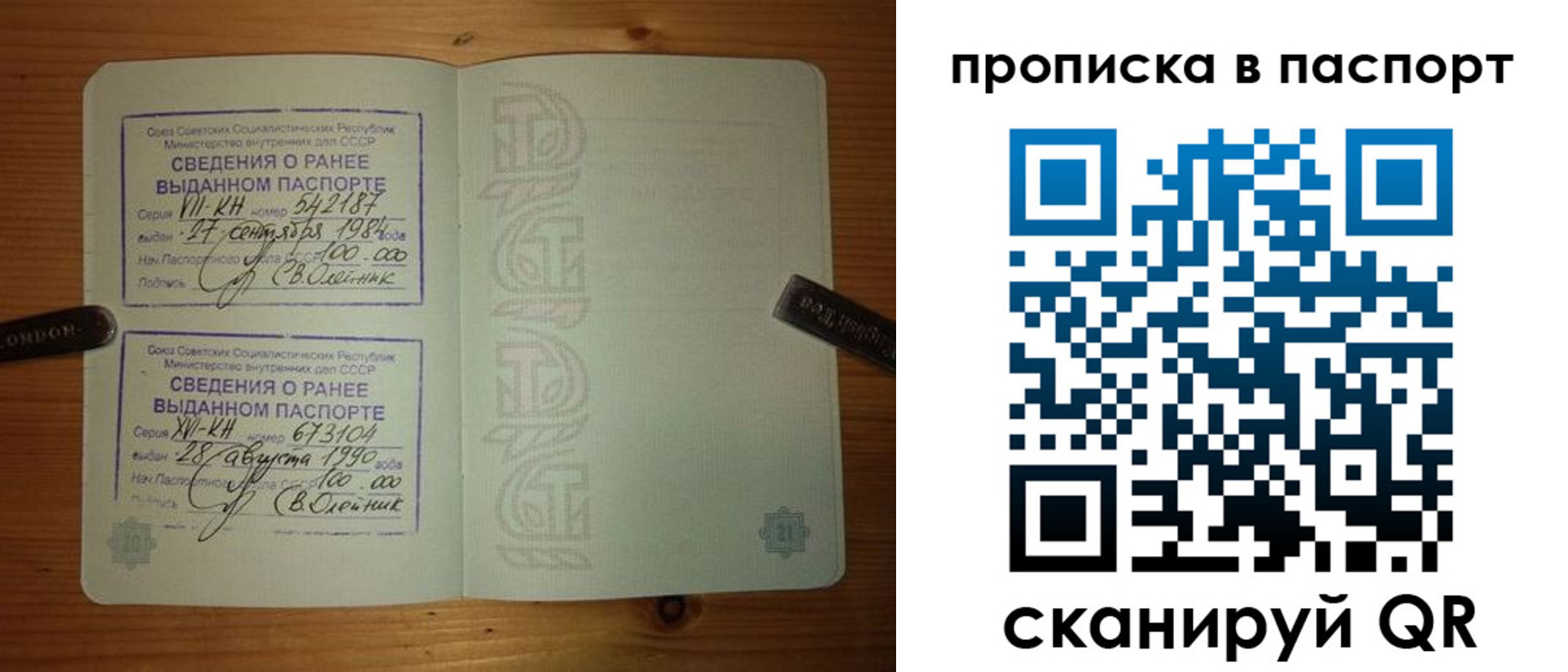 временная регистрация надежно в Камчатском крае