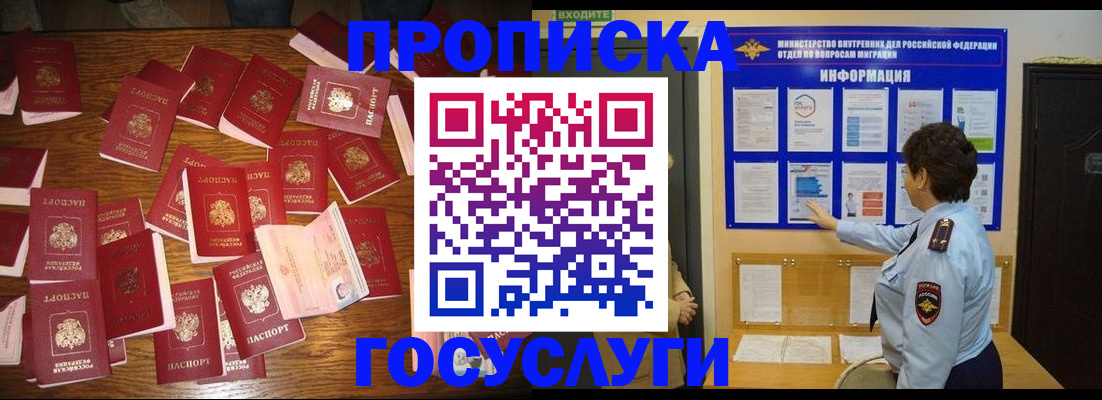 форма 3 в Камчатском крае